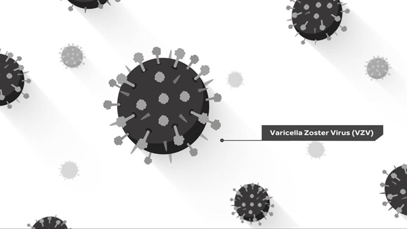 SHINGRIX mechanism of action video