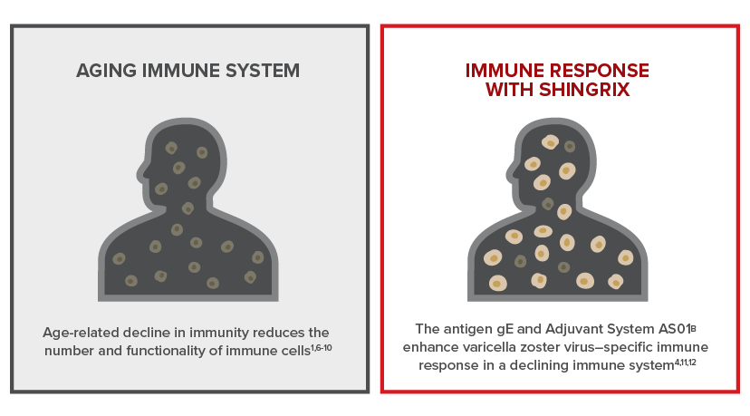 Image: Aging immune system versus immune response with SHINGRIX