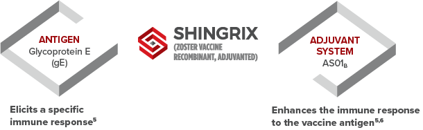 How SHINGRIX works infographic