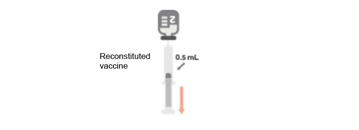 Image of SHINGRIX Reconstitution: Step 4